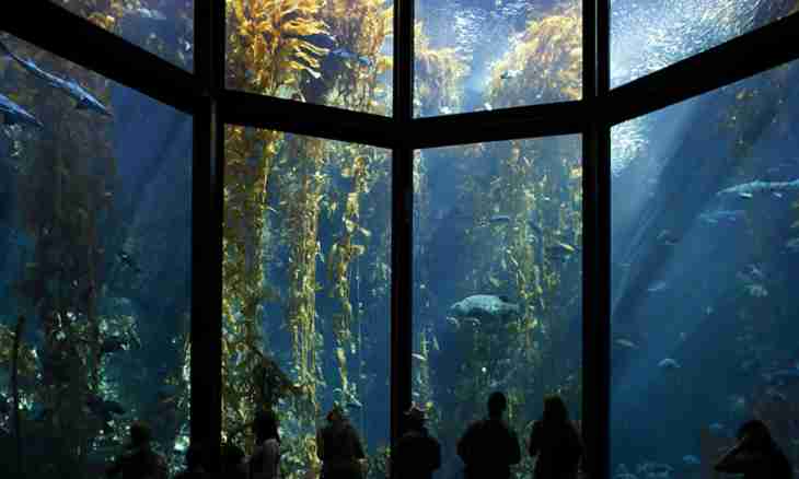 How to contain a sea aquarium