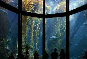 How to contain a sea aquarium