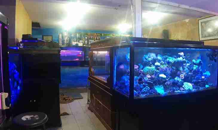 How to fill an aquarium with water