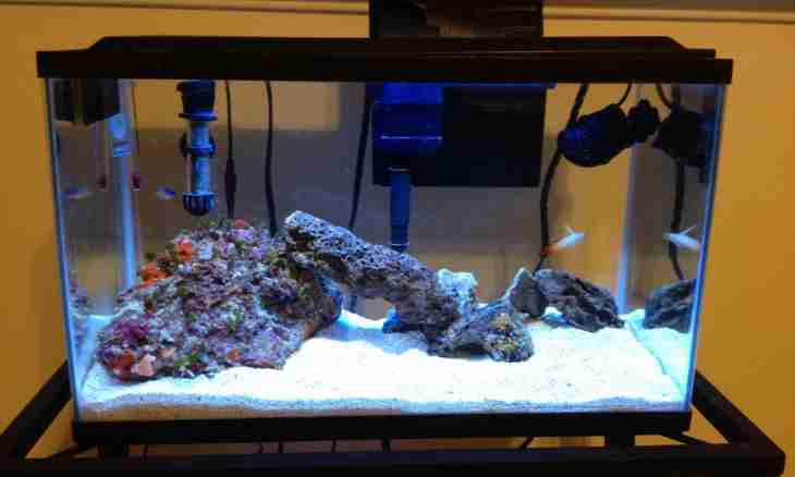 How to lower ph in an aquarium