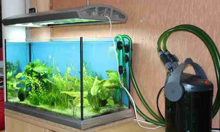 Whether interferes with aquarium fishes noise of the aerator