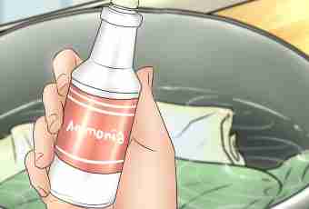 How to get rid of a smell of a polecat