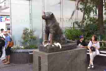 Real history of a dog of Hachiko
