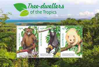 What animals are found in tropics