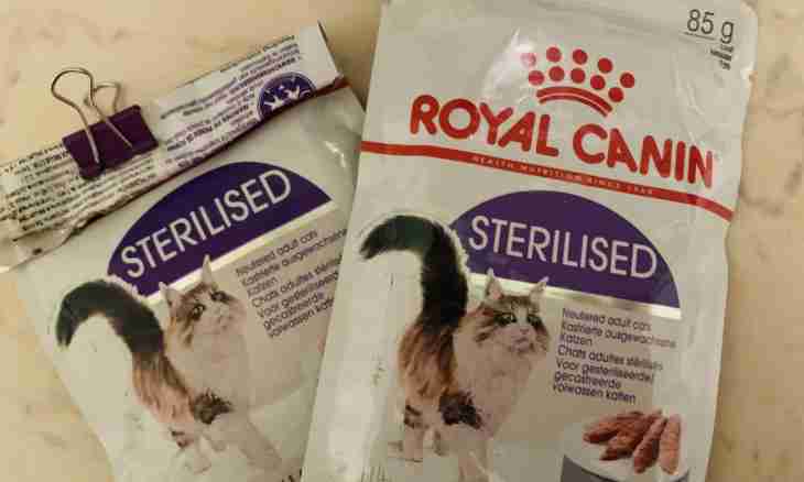 Whether the sterilized cats of a cat want