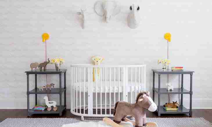 How to create nursery of cats