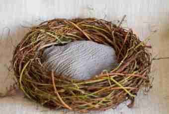 How to make a nest