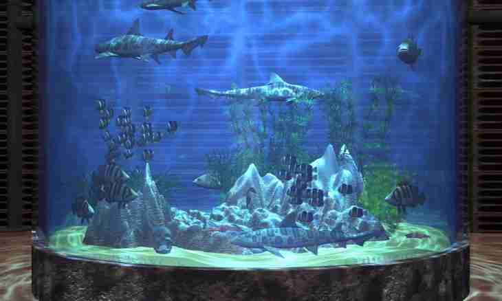 How to paste a background in an aquarium