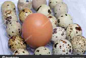 As quails lay eggs