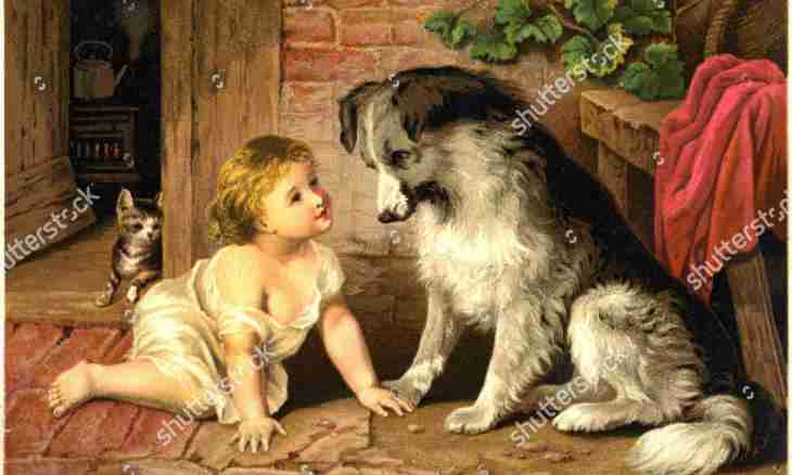 Whom to present to the child - a dog or a cat