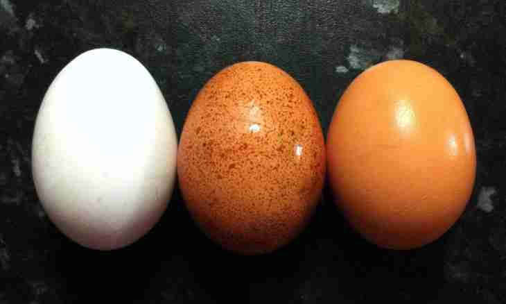 Why eggs of different color