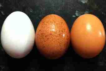 Why eggs of different color
