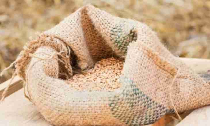 How to prepare compound feed for quails