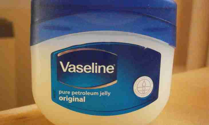 How to give vaseline oil to cats