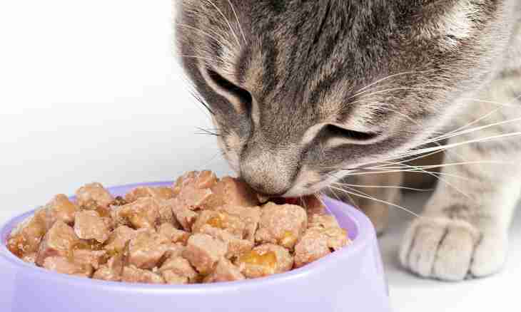 As the dry feed affects health of a cat