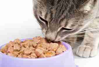 As the dry feed affects health of a cat