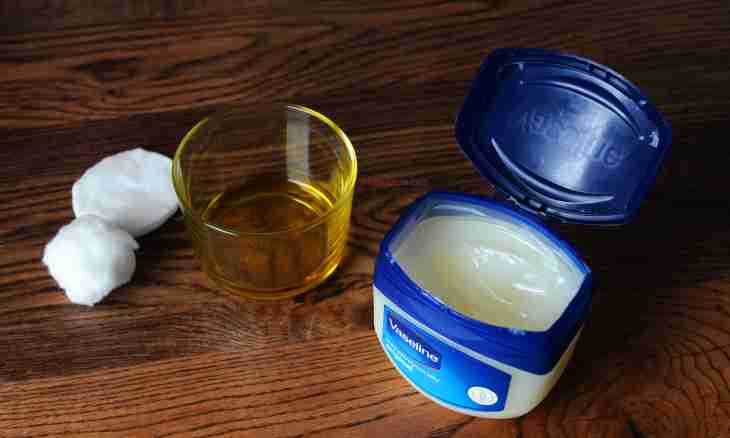 How to give vaseline oil to a kitten