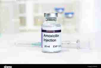 How to calculate an amoxicillin dose for a dog