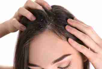 How to get rid of dandruff at a cat