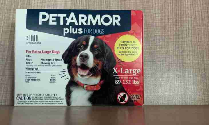 How to use Gelakan Darling additive for dogs