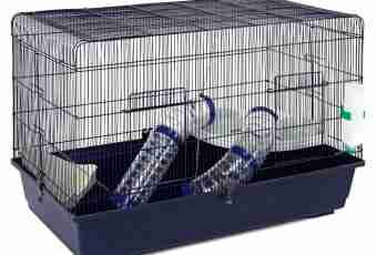 How to make a cage for a rat