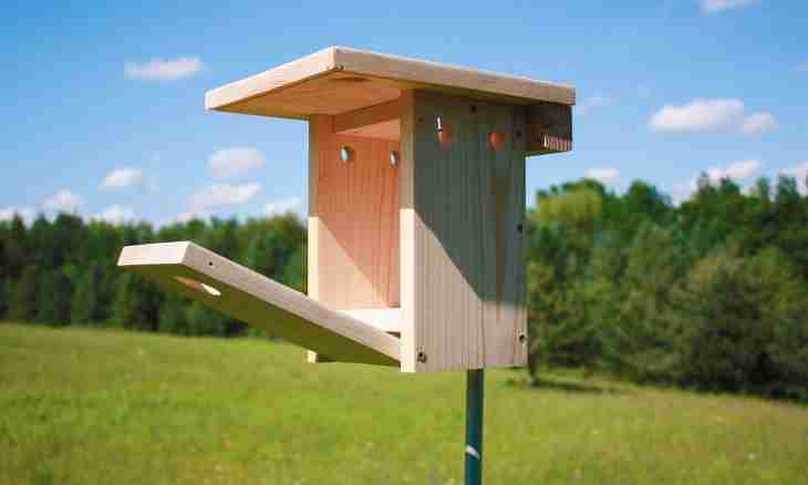 How to make a birds feeder of a box