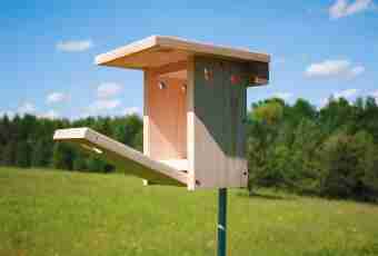 How to make a birds feeder of a box