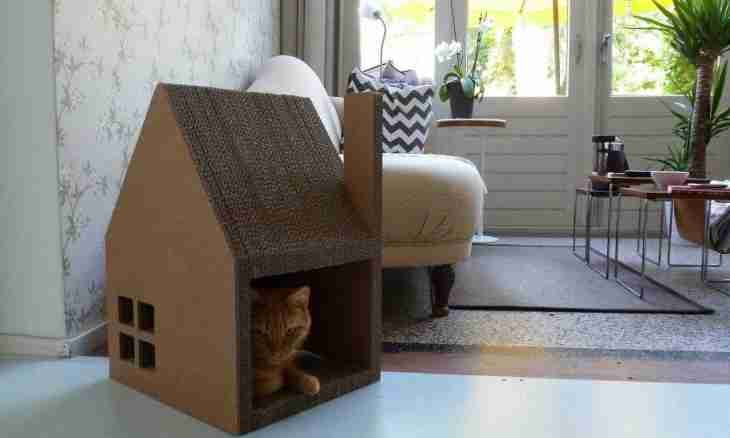 How to make a lodge for a cat