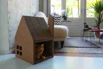 How to make a lodge for a cat