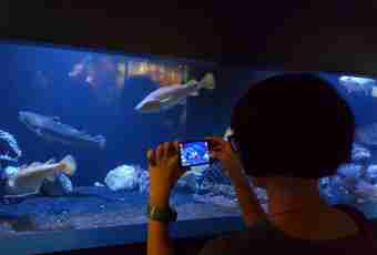 How to paste a film on an aquarium