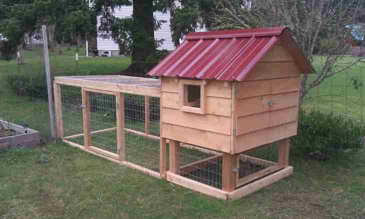 How to build the hen house for hens