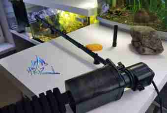 How to install the internal filter in an aquarium
