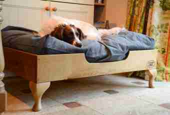 How to sew to a dog a plank bed