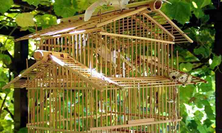 How to make a lodge for birds