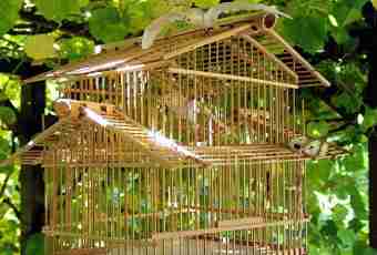How to make a lodge for birds