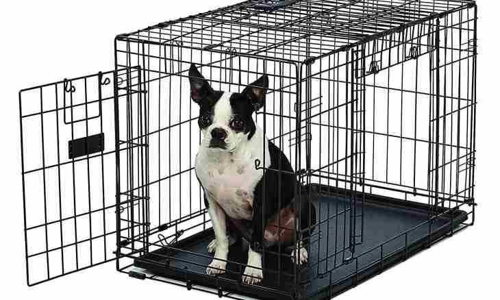 Cage for a dog: luxury or need