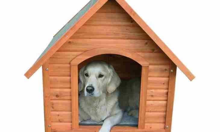 How to make the doghouse for a dog