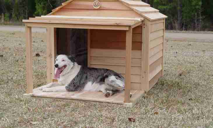 How to construct a lodge for a dog