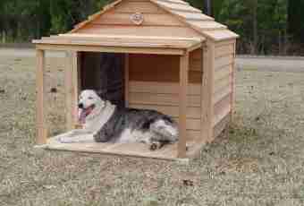 How to construct a lodge for a dog