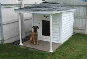How to build dog enclosure