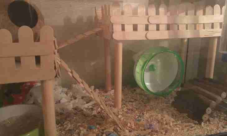 How to make cages for hamsters