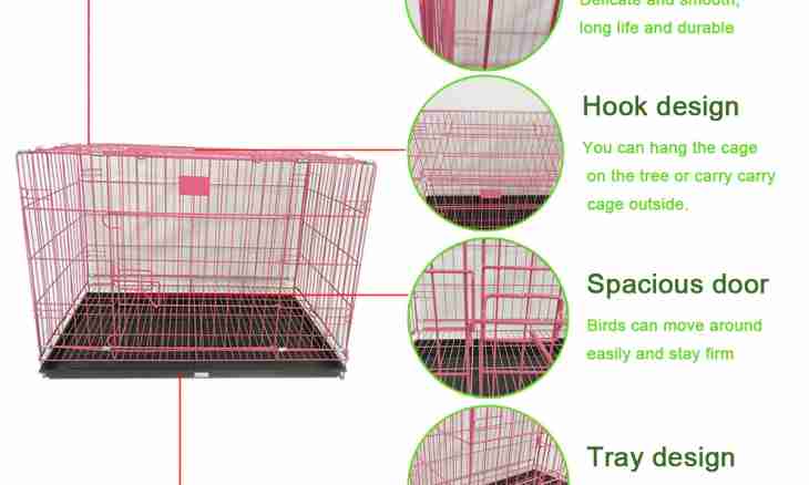 How to make a rabbit cage