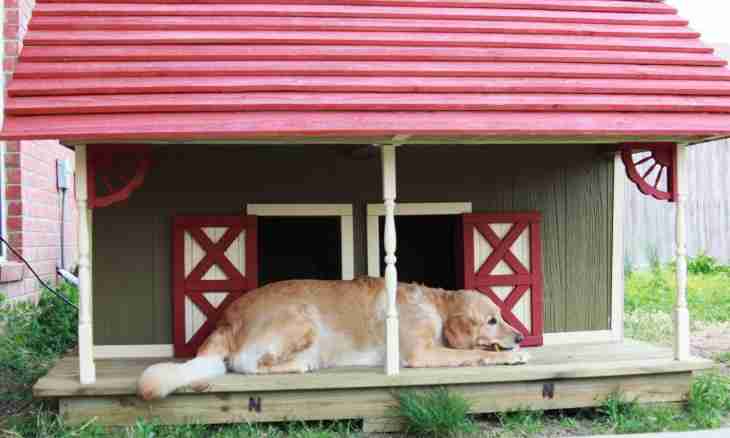 How to make a lodge for a dog