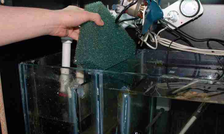 How to change the filter at an aquarium