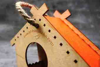 How to make a birds feeder of cardboard
