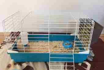 How to build cages for a rabbit