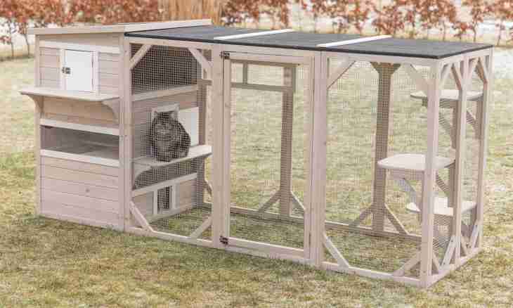 How to build the dogs enclosure