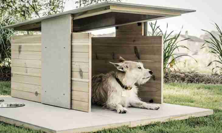 How to build the doghouse for a dog