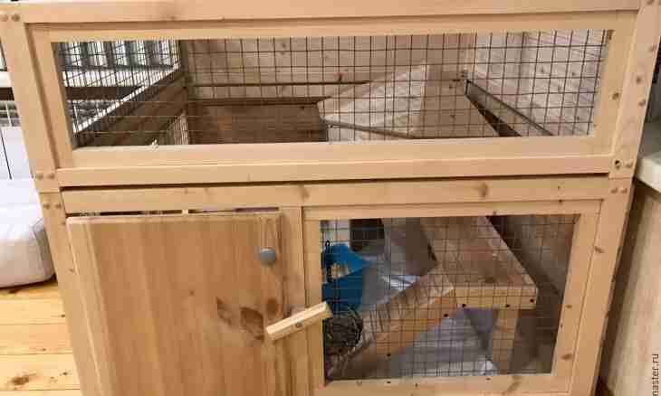 How to construct a rabbit cage most
