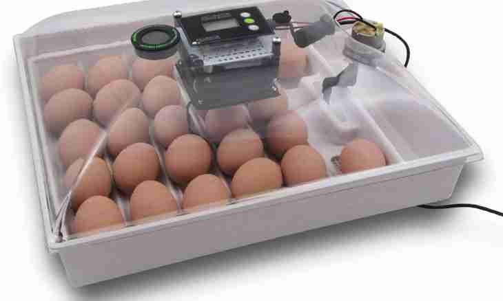 How to make a house incubator for eggs